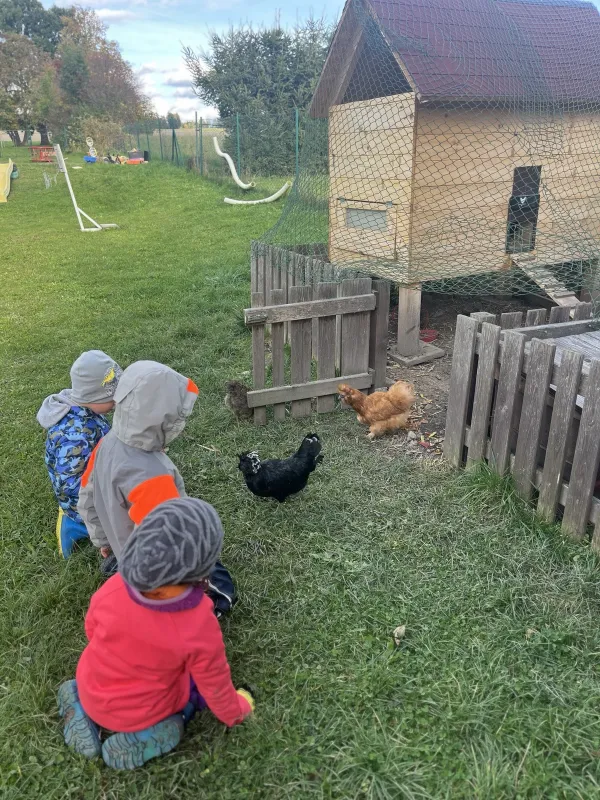 Ilustrační fotografie