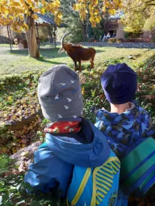 Výlet do ZOO Dvůr Králové